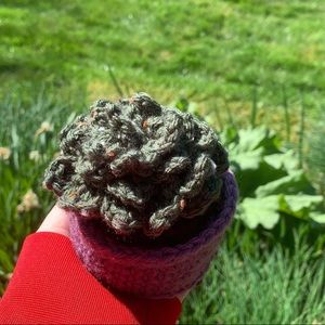 LET ME CROCHET YOU A PLANT !